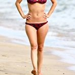 First pic of Rachel Bilson caught in bikini on the beacj in Hawaii