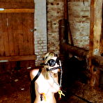 First pic of Emmas Ponygirl Punishment