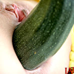 Second pic of Oversized Zucchini