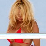 Third pic of ::: Pamela Anderson - Celebrity Hentai Porn Toons! :::