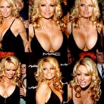 Third pic of ::: MRSKIN :::Pamela Anderson Paparazzi And Nude Posing Pics