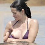 Second pic of Courteney Cox - nude celebrity toons @ Sinful Comics Free Access!