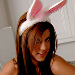 Fourth pic of Hotty Stop / Briana Lee Xo Bunny