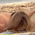 Third pic of Denise Richards topless captures from It is Complicated