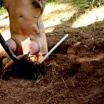 Third pic of SexPreviews - Rain DeGrey busty blonde is rope bound in the woods and satisfies masters dick