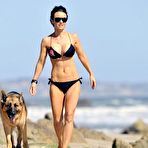 Fourth pic of Kelly Carlson sexy in bikini on the beach with her dog