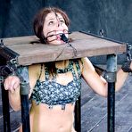 Fourth pic of SexPreviews - Mia Gold is bound in metal with leather mask and clamps
