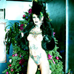 Fourth pic of PinkFineArt | Malice Gothic Punk Xmas from Gothic Babes
