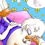 First pic of Donald and Daisy Duck orgy - Free-Famous-Toons.com