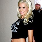 Third pic of ::: Holly Madison - Celebrity Hentai Porn Toons! :::