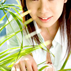 Fourth pic of JJGirls Japanese AV Idol Miri Yaguchi (矢口美里) Photos Gallery 1