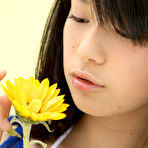 First pic of Sunflower Girl @ AllGravure.com
