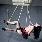 Fourth pic of Dungeon Suspension
