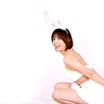 Second pic of Pink Heart Bunny 1 @ AllGravure.com