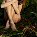 Fourth pic of Ukrainian Models - Teens 19 Year Old Nude Girl, Virgin Teen Gallery