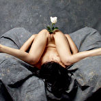 Third pic of TigerLily C4 - Free Erotic Nudes from MoreyStudio.com