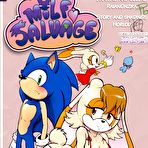 First pic of Sonic Milf Savage – Quadrinhos Eróticos  | Revistas e Quadrinhos