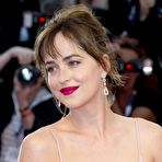 Third pic of Dakota Johnson fully naked at Largest Celebrities Archive!