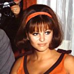 Second pic of Claudia Cardinale sexy and see through photos