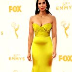 First pic of Padma Lakshmi at the 67th Primetime Emmy awards