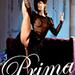 First pic of PinkFineArt | Presenting Prima from Met-Art