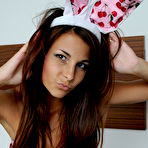 Third pic of Hotty Stop / Bashful Brittany Bunny