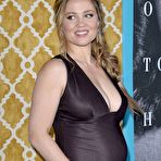 Second pic of Pregnant Erika Christensen at Confirmation premiere