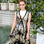First pic of Popoholic  » Blog Archive   » Emma Watson Looking All Kinds Of Adorably Hot And Perky
