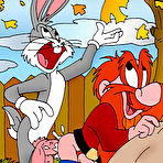 Second pic of Horny Bugs Bunny wanna screw Daffy Duck xxx cartoon porn