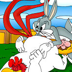 Fourth pic of Horny Bugs Bunny wanna screw Daffy Duck xxx cartoon porn