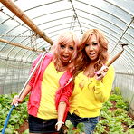 First pic of Farmer girls Raina Ogami and Rara