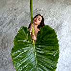 First pic of Kit Rysha unveils her spectacular beauty from behind a big green tropical leaf
