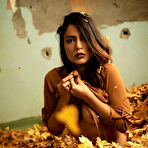 First pic of Joy Lamore Autumn Leaves