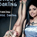 First pic of SexPreviews - Rose Darling red nails petite is bound in rope her pussy toyed to orgasm in dungeon