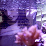 First pic of Emelia Pearl in Aquarium Teardrops Fall by Zishy (12 photos) | Erotic Beauties