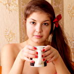 First pic of Drinking Tea Turns Into Nudity -- HairyFemalesPics.com