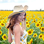 First pic of Red Fox Sunflower Fields The Emily Bloom / Hotty Stop