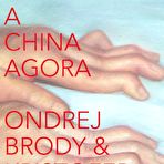 First pic of brodypaetau.com » LIVRO DE ARTE: Pintar a China Agora (MAM – Museu de Arte Moderna – Rio de Janeiro – 2013/2014)