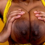 Second pic of Mega Nipples Areolas Black Tits Mix 3 Real Natural Breasts - 16 Pics | xHamster