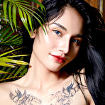 Fourth pic of Kwan Busty Inked Asian Model