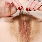 Third pic of Brandi Dandi at ATK Hairy | Nude and Hairy