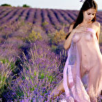 Second pic of 'Lavender Tits' with Martina Mink via Met-Art - Watch My Nudes