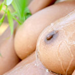 Fourth pic of Samantha Cruuz Nude in Garden Glam by Sandra Shine | Erotic MetArt