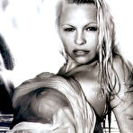 Second pic of Celebrities fuck like pornstars! - Pamela Anderson posing and fucking