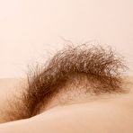 Third pic of Hairy pussy pictures of Kristina - The Nude and Hairy Women of ATK Natural & Hairy