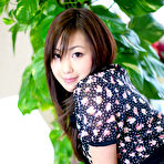 First pic of JPsex-xxx.com - Free japanese av idol harumi sex Pictures Gallery
