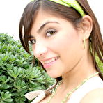 Third pic of Free Pictures ::: Truetere.com