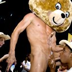 Fourth pic of Dancing Bear, sex party, bachelorette parties gone wild, party hardcore