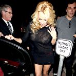 Fourth pic of Pamela Anderson absolutely naked at TheFreeCelebMovieArchive.com!