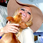 First pic of Pamela Anderson in tiny shorts walk small doggys